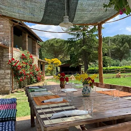 Villa Vepres *
