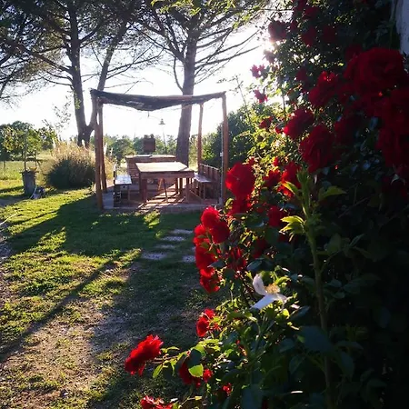 Holiday home Villa Vepres